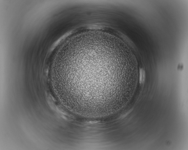 X0000114210723200910091323