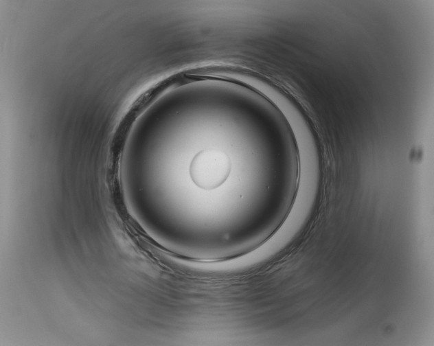 X0000114210724200910091323