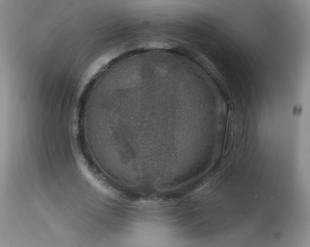 X0000114210726200910091323