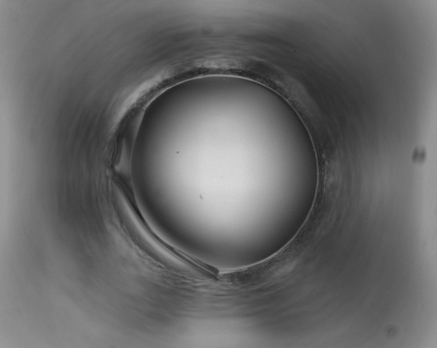 X0000114210727200910091323