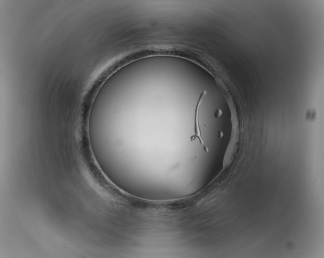 X0000114210728200910091323