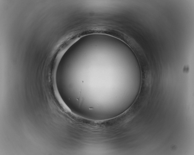 X0000114210731200910091323