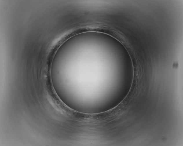 X0000114210732200910091323