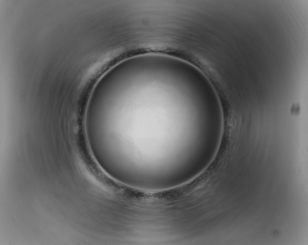 X0000114210734200910091323
