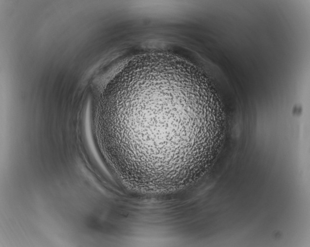 X0000114210735200910091323