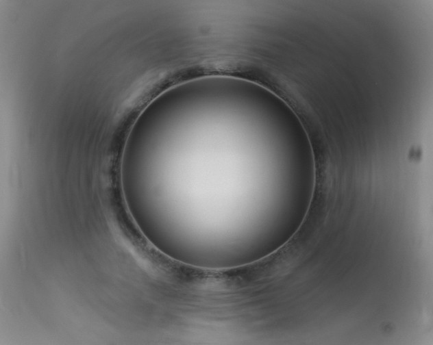 X0000114210738200910091323