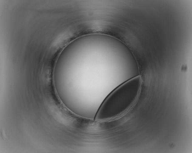 X0000114210740200910091323