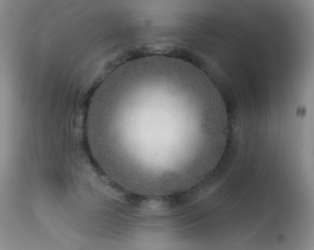 X0000114210745200910091323
