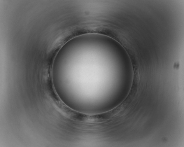 X0000114210746200910091323