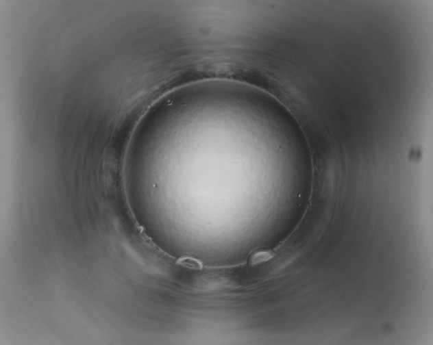 X0000114210747200910091323
