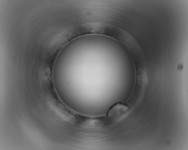 X0000114210748200910091323