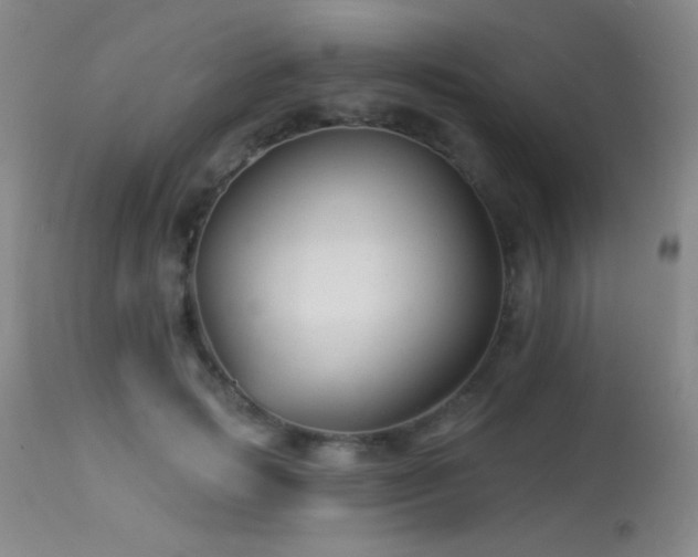 X0000114210749200910091323