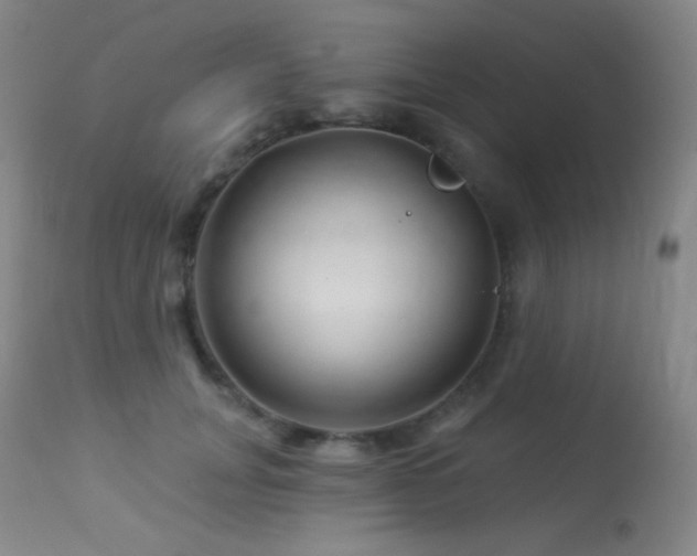 X0000114210751200910091324