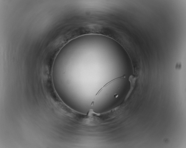 X0000114210752200910091324