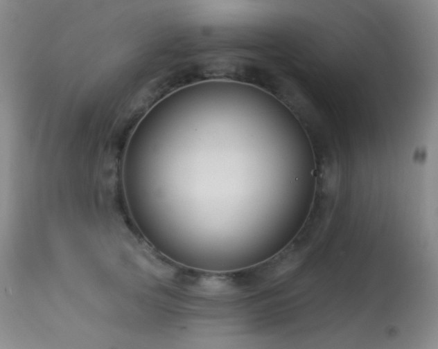 X0000114210753200910091324