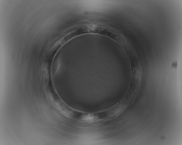 X0000114210754200910091324