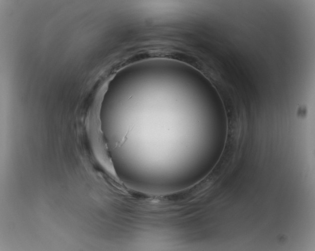 X0000114210755200910091324