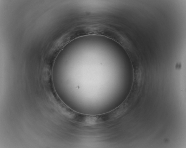 X0000114210757200910091324