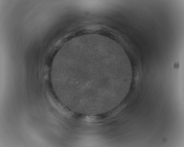 X0000114210758200910091324