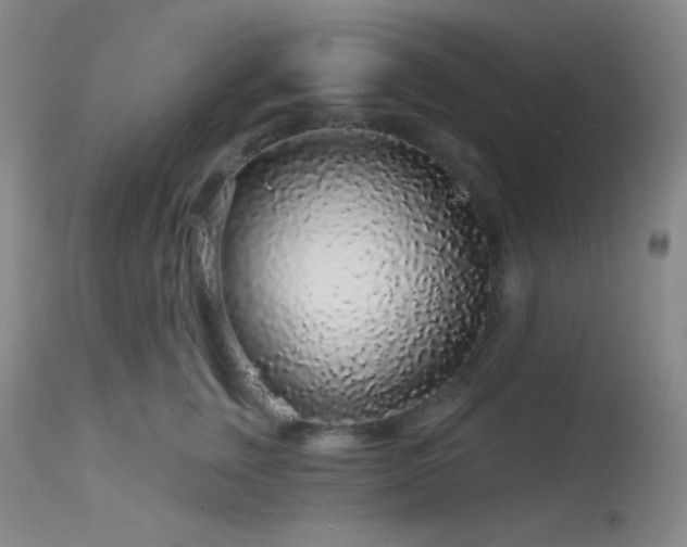 X0000114210759200910091324