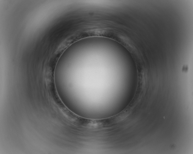 X0000114210760200910091324