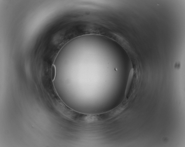 X0000114210762200910091324