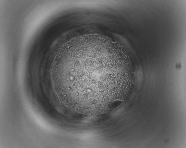 X0000114210765200910091324