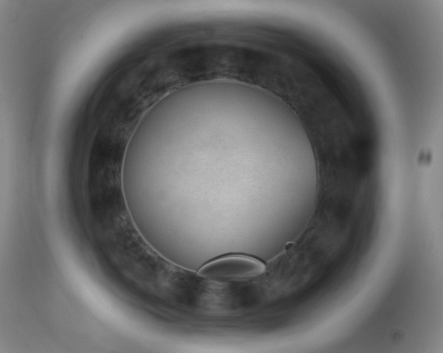 X0000114210766200910091324