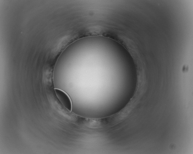X0000114210768200910091324