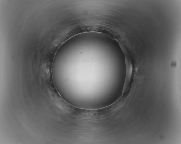 X0000114210771200910091323