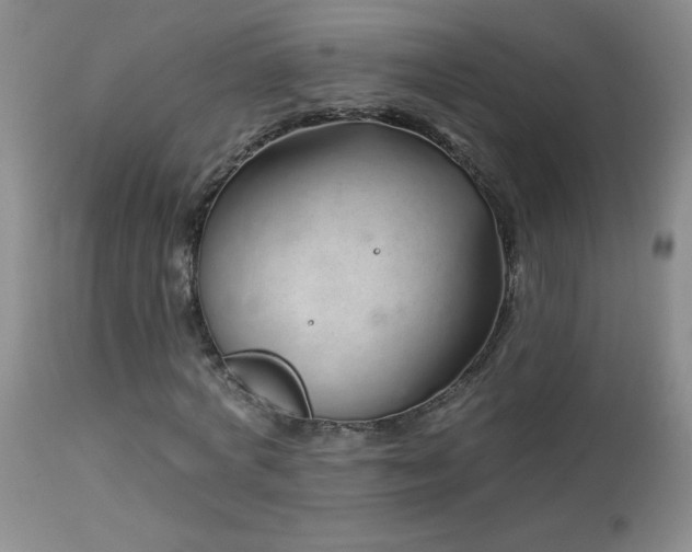 X0000114210772200910091323