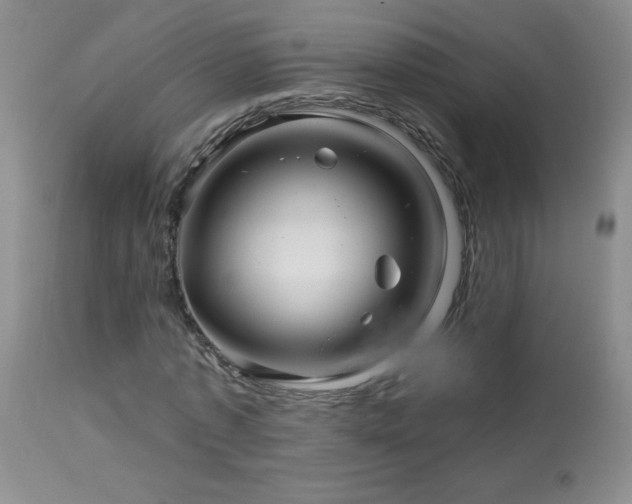 X0000114210773200910091323
