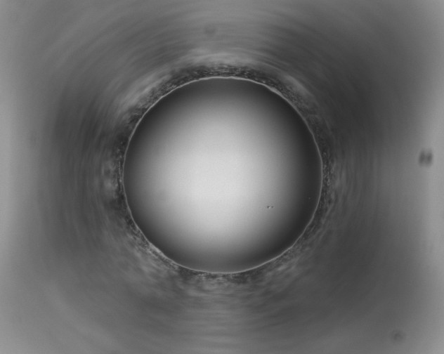 X0000114210774200910091323
