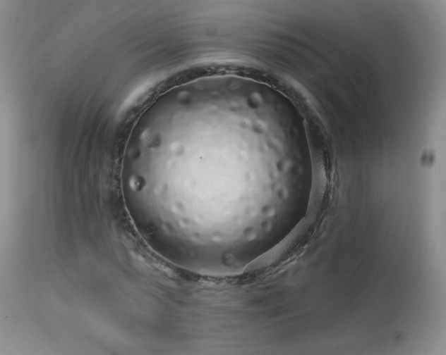 X0000114210775200910091323