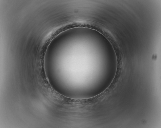 X0000114210776200910091323