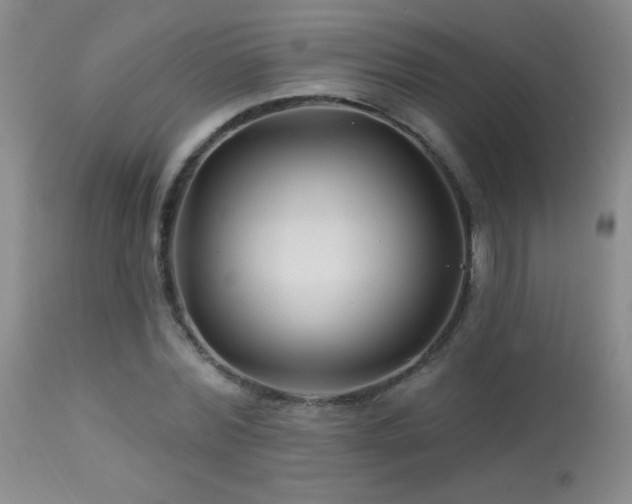 X0000114210780200910091323