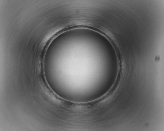 X0000114210782200910091323