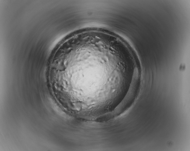 X0000114210783200910091323