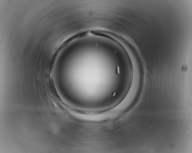 X0000114210785200910091323