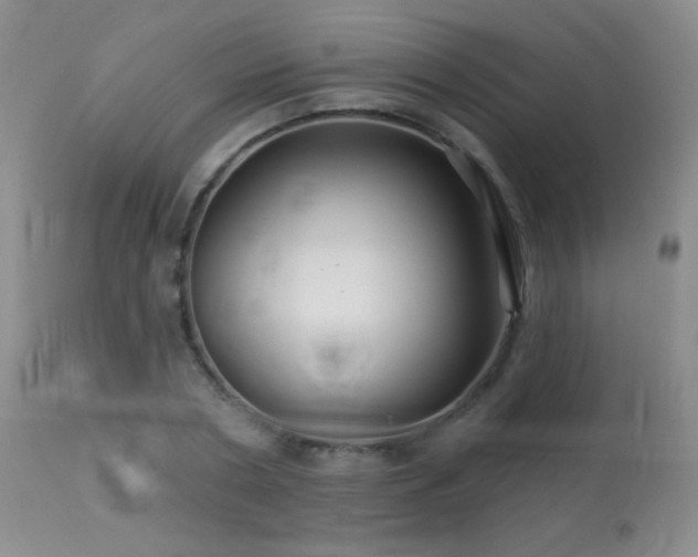 X0000114210786200910091323
