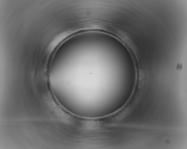 X0000114210789200910091323