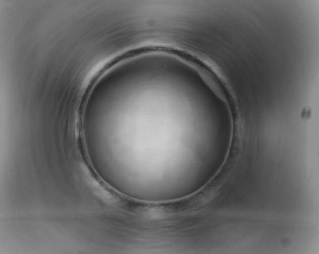 X0000114210791200910091323