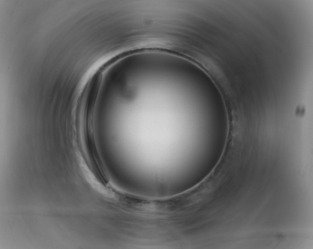 X0000114210792200910091323