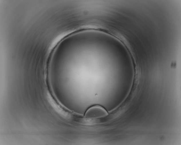 X0000114210795200910091323