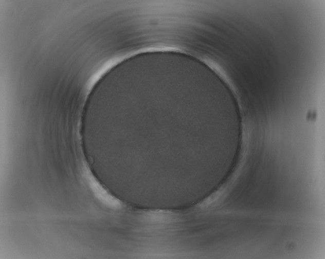 X0000114210797200910091323