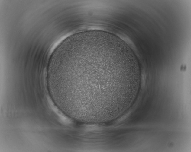 X0000114210798200910091323