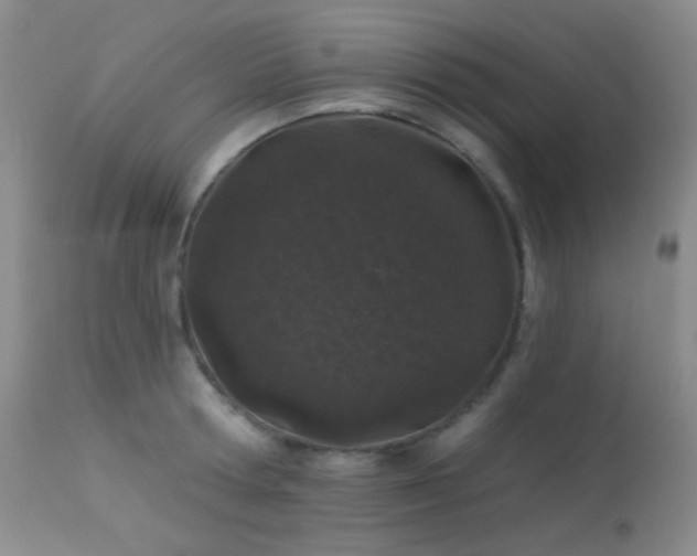 X0000114210802200910091322