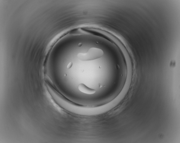 X0000114210807200910091322