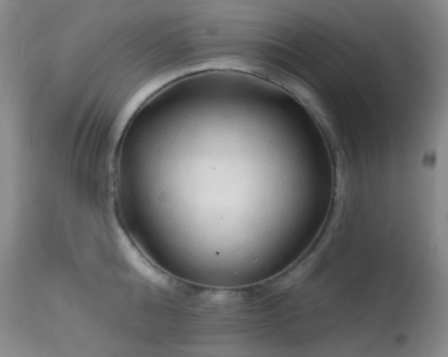 X0000114210808200910091322