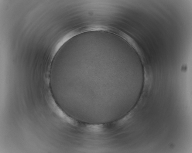 X0000114210810200910091322